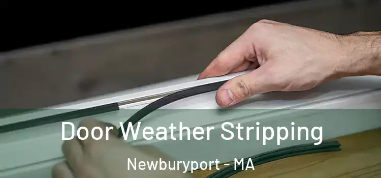 Door Weather Stripping Newburyport - MA