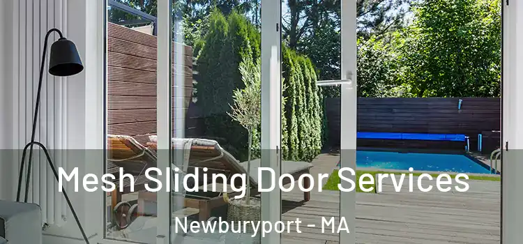 Mesh Sliding Door Services Newburyport - MA